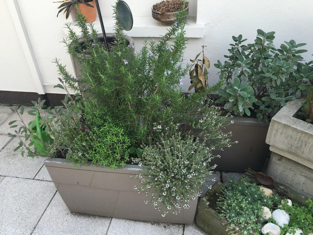 Mangolds Boutique Hotel & Fruehstuecksmeisterei Schweinfurt Exterior foto